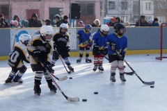 Новая хоккейная площадка в городе Бийске